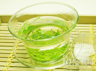 苦丁茶的功效与禁忌