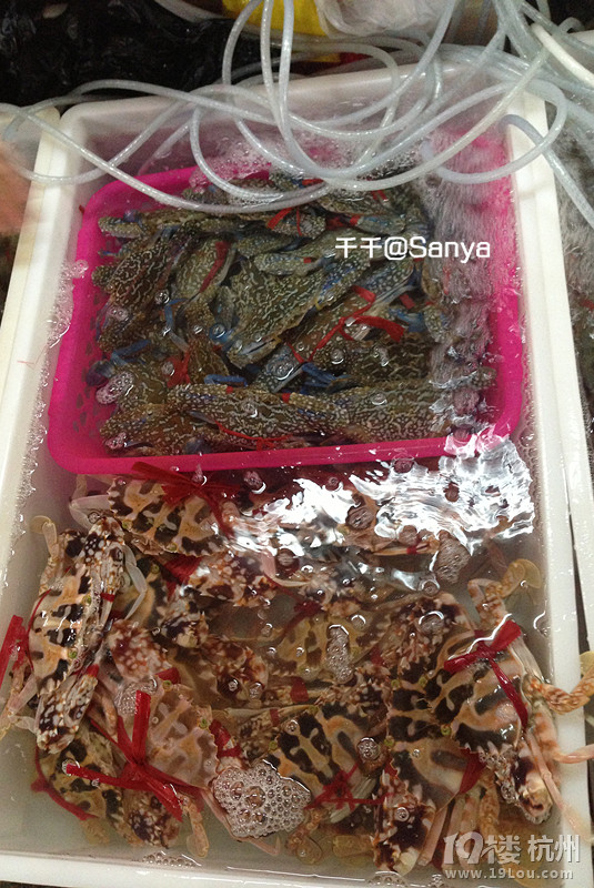城市美食攻略+舌尖上的三亞