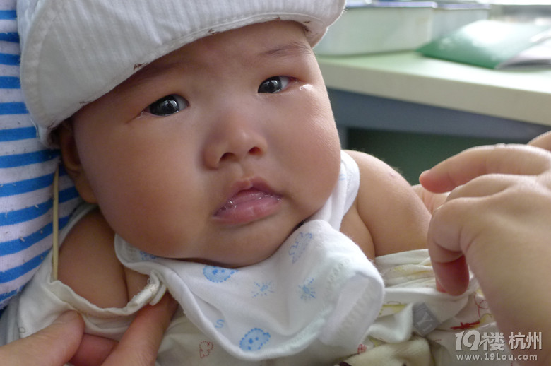 冬冬天天的萌表情(5月26日在366楼起有大量更