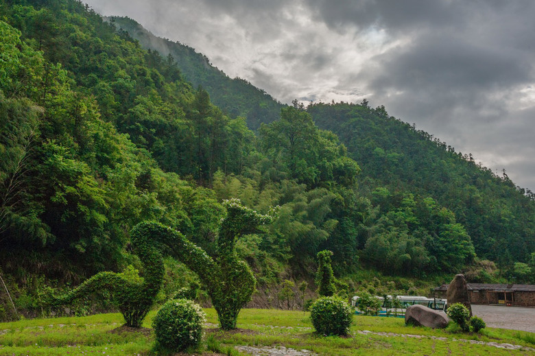箬寮原始林与黄家大院(松阳)