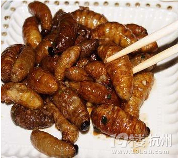 全球最古怪的美容方法：鸟屎面膜vs生肉面膜