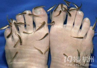 全球最古怪的美容方法：鸟屎面膜vs生肉面膜