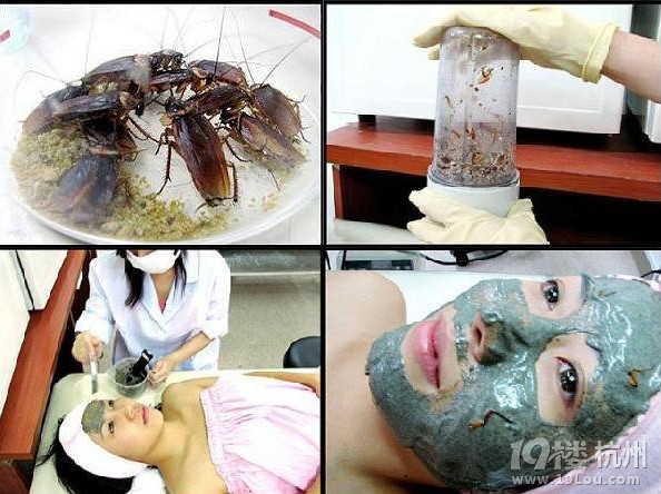 全球最古怪的美容方法：鸟屎面膜vs生肉面膜