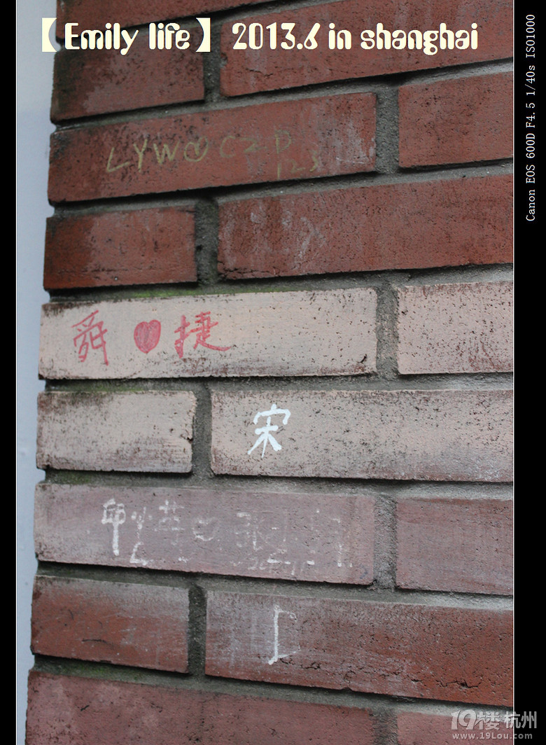 6162Ϻ{(ln)ӳԺ昷