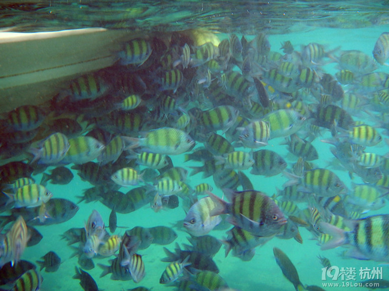 普吉甲米岛浪漫之旅  更新完毕       ---海量靓照