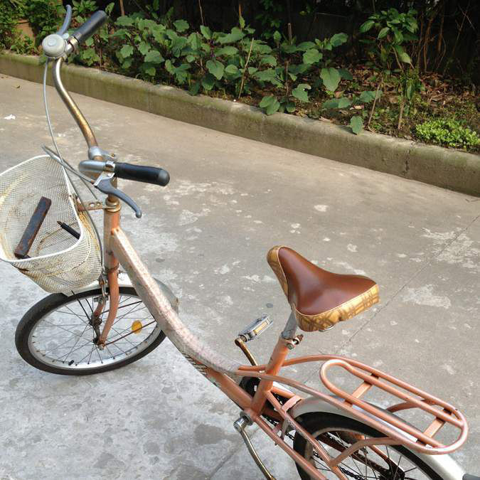 滨江高教园垃圾街附近自行车转让