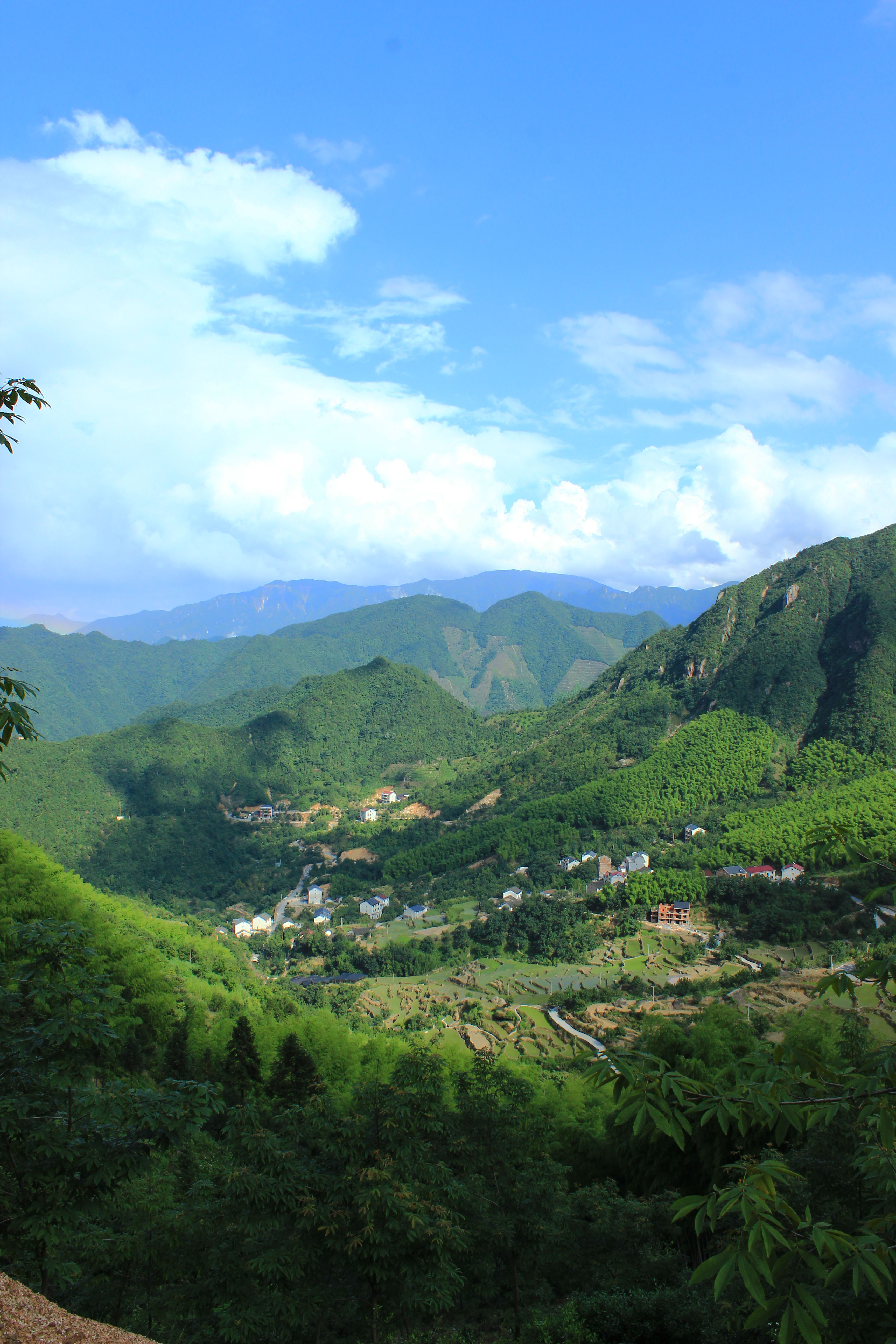 山里人家-风景照-19摄区-杭州19楼