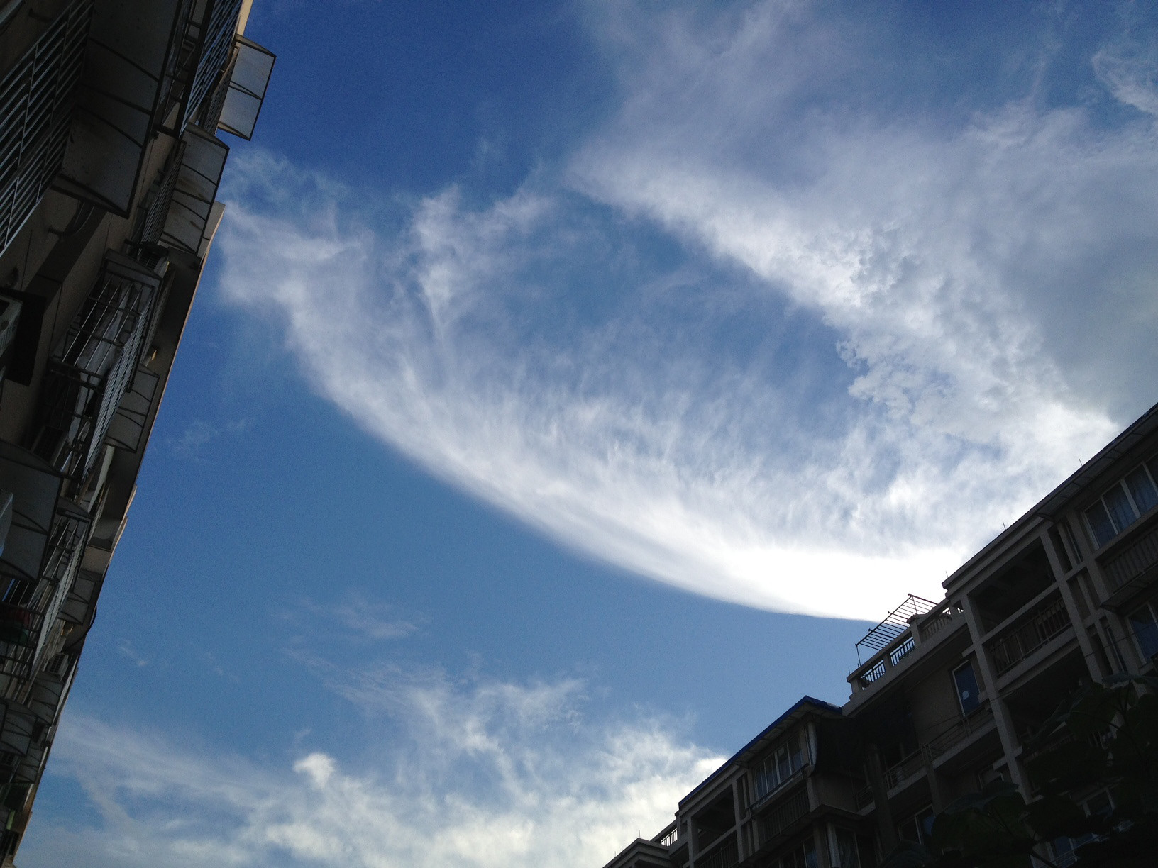 黄梅天里的杭州蓝天