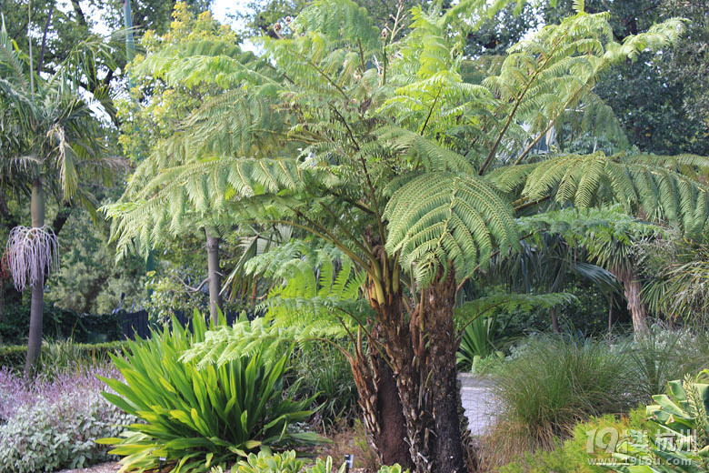 澳大利亚自助游-游记攻略-旅游先遣队-杭州19