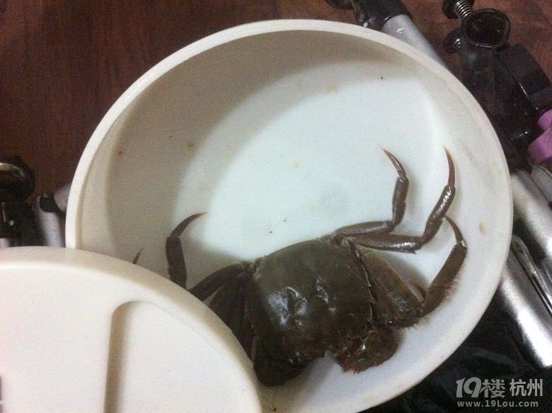 昨夜钱江边小钓