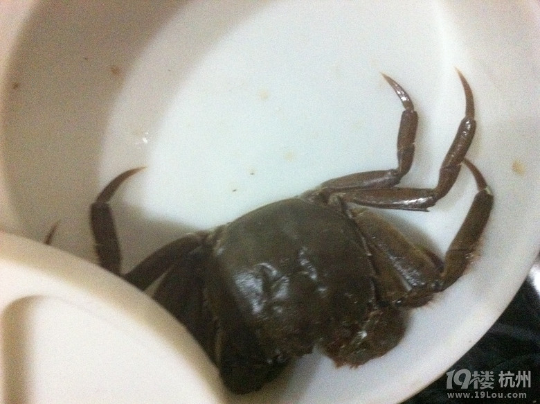 昨夜钱江边小钓
