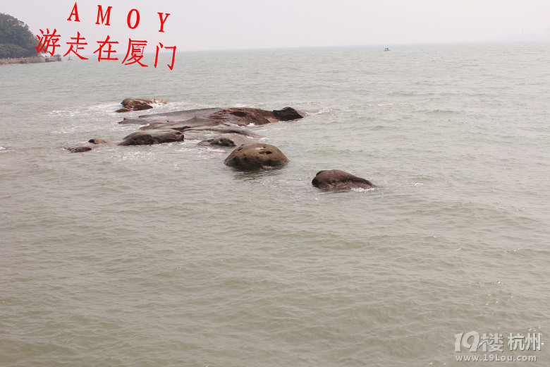 AMOY ڏBT