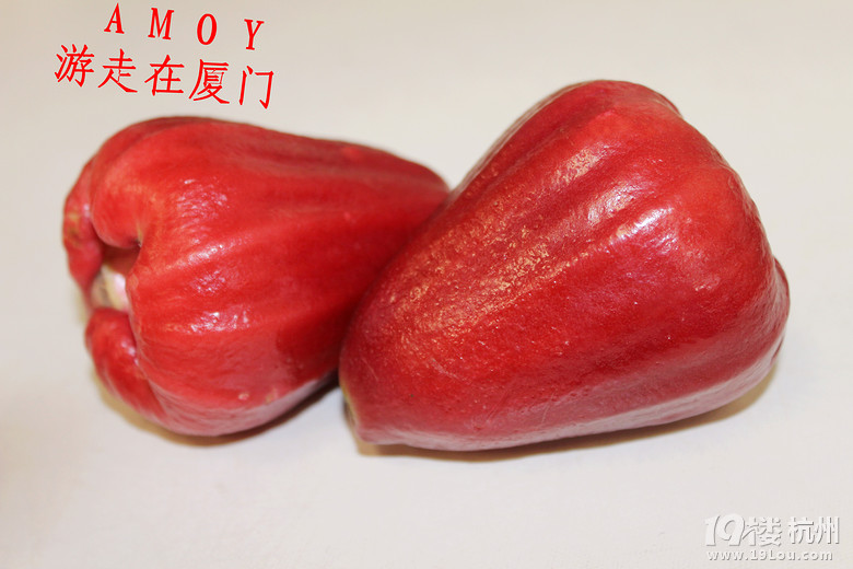 AMOY ڏBT