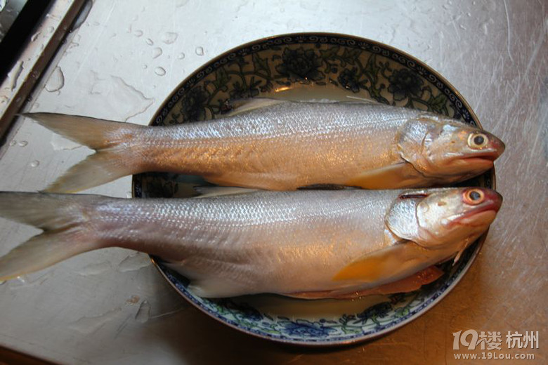 杭州19楼 饮食男女 美食俱乐部 美食狗仔队 【8队】一次自驾去乡村到