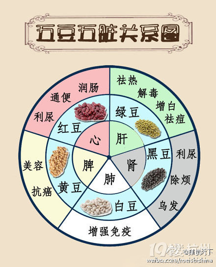 杭州19楼 饮食男女 饮食养生 营养食谱 一张图解读五豆和五脏的关.