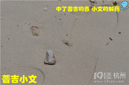 指尖上的普吉wiki phuket小文玩轉(zhuǎn)普吉之皇帝島一日游原創(chuàng)