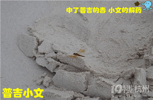 指尖上的普吉wiki phuket小文玩轉(zhuǎn)普吉之皇帝島一日游原創(chuàng)