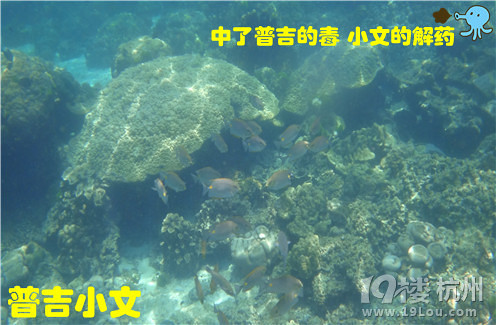 指尖上的普吉wiki phuket小文玩轉(zhuǎn)普吉之皇帝島一日游原創(chuàng)
