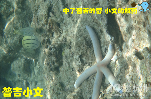 指尖上的普吉wiki phuket小文玩轉(zhuǎn)普吉之皇帝島一日游原創(chuàng)