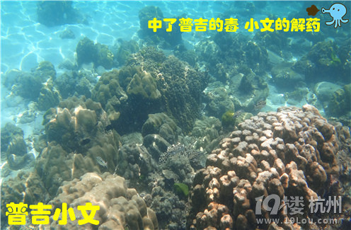 指尖上的普吉wiki phuket小文玩轉(zhuǎn)普吉之皇帝島一日游原創(chuàng)