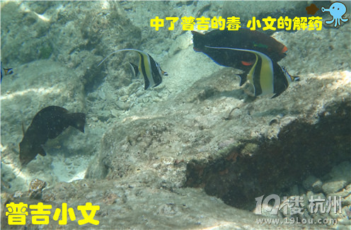 指尖上的普吉wiki phuket小文玩轉(zhuǎn)普吉之皇帝島一日游原創(chuàng)
