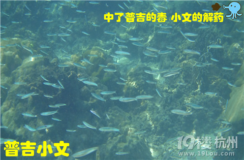 指尖上的普吉wiki phuket小文玩轉(zhuǎn)普吉之皇帝島一日游原創(chuàng)