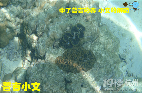 指尖上的普吉wiki phuket小文玩轉(zhuǎn)普吉之皇帝島一日游原創(chuàng)