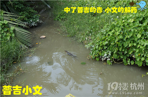 指尖上的普吉wiki phuket小文玩轉(zhuǎn)普吉之皇帝島一日游原創(chuàng)