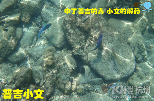 指尖上的普吉wiki phuket小文玩轉(zhuǎn)普吉之皇帝島一日游原創(chuàng)