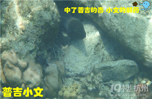 指尖上的普吉wiki phuket小文玩轉(zhuǎn)普吉之皇帝島一日游原創(chuàng)