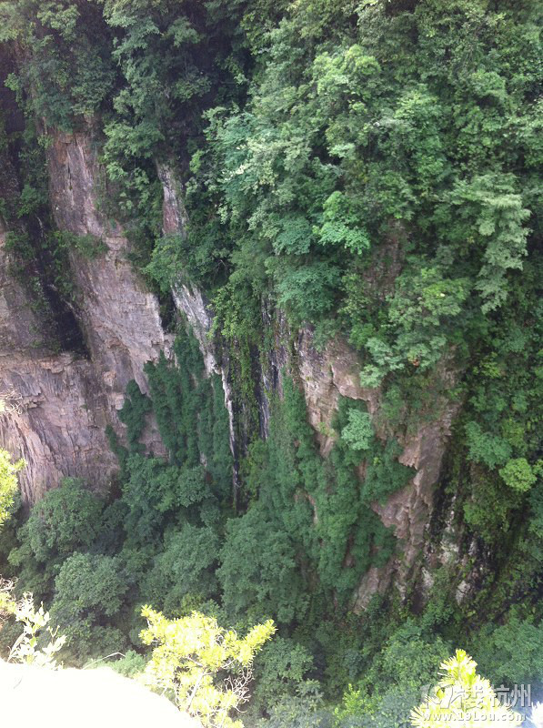 Binance Casino - 领先的数字货币娱乐场，安全稳定，极速存取「10-11月更新」张家界2-6人团如何省钱又好玩？攻略来了口碑榜前