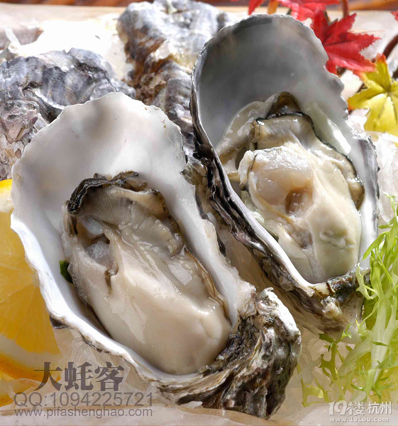 可以直接吃的天然生蚝,法国进口生蚝配送,电话