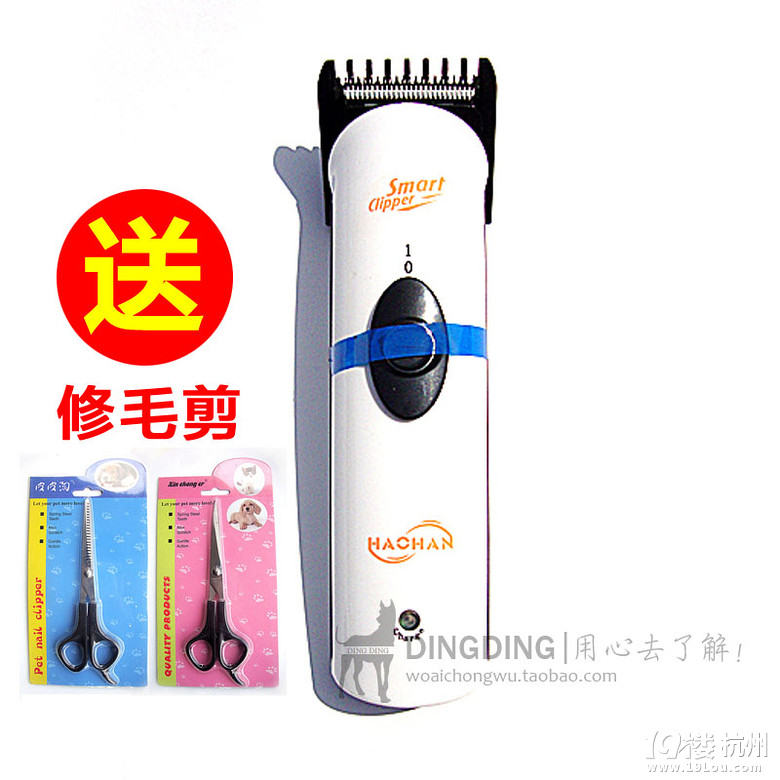 关于狗狗的剪毛