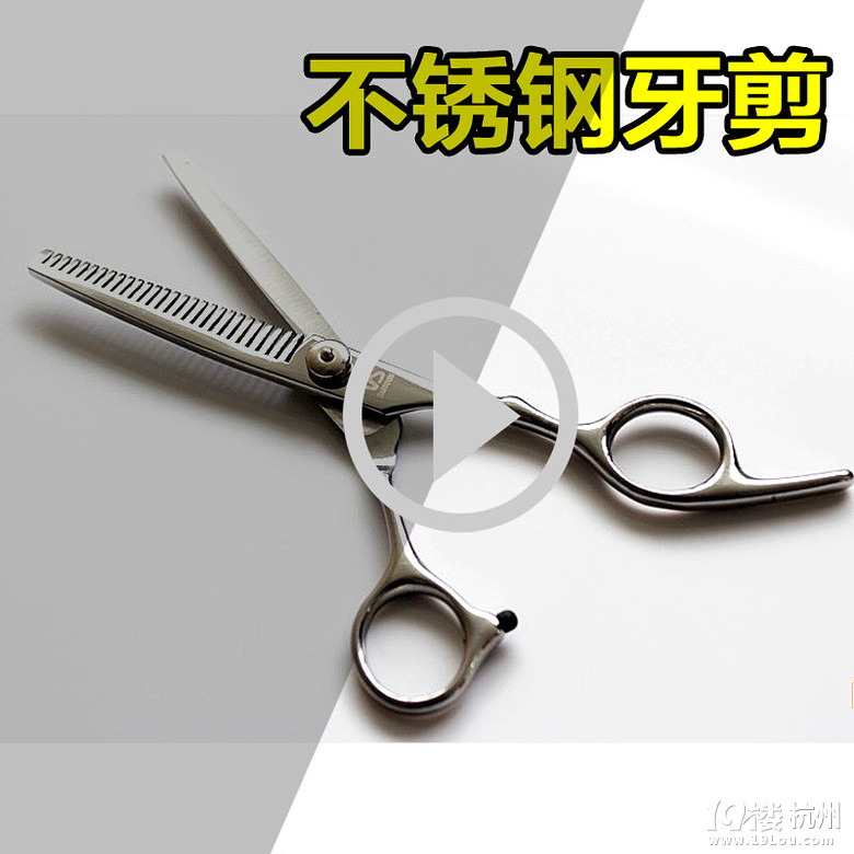 关于狗狗的剪毛