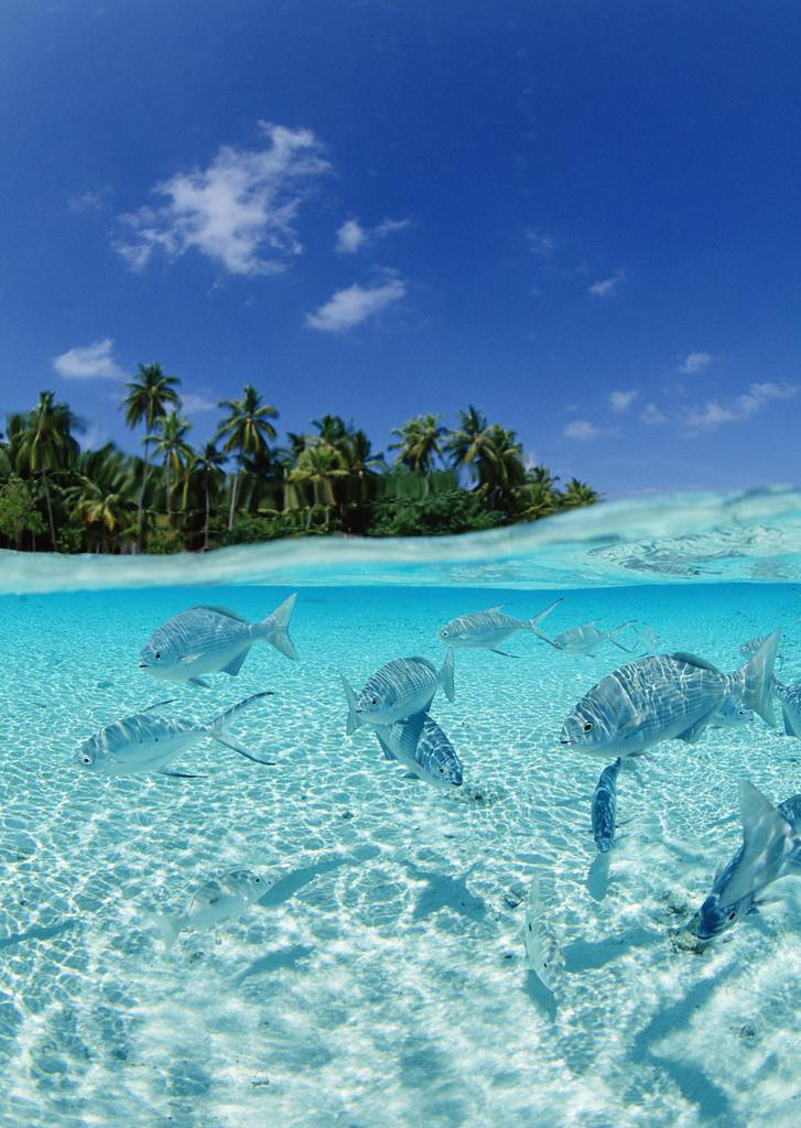 马尔代夫—海水与天空的美丽童话