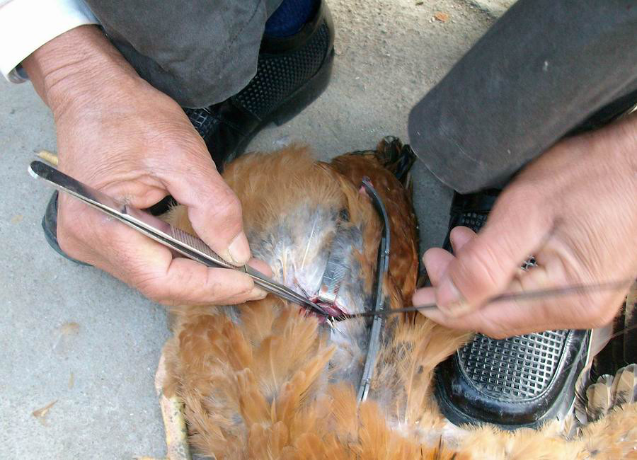 随手拍拍----和大家一起分享点滴生活13