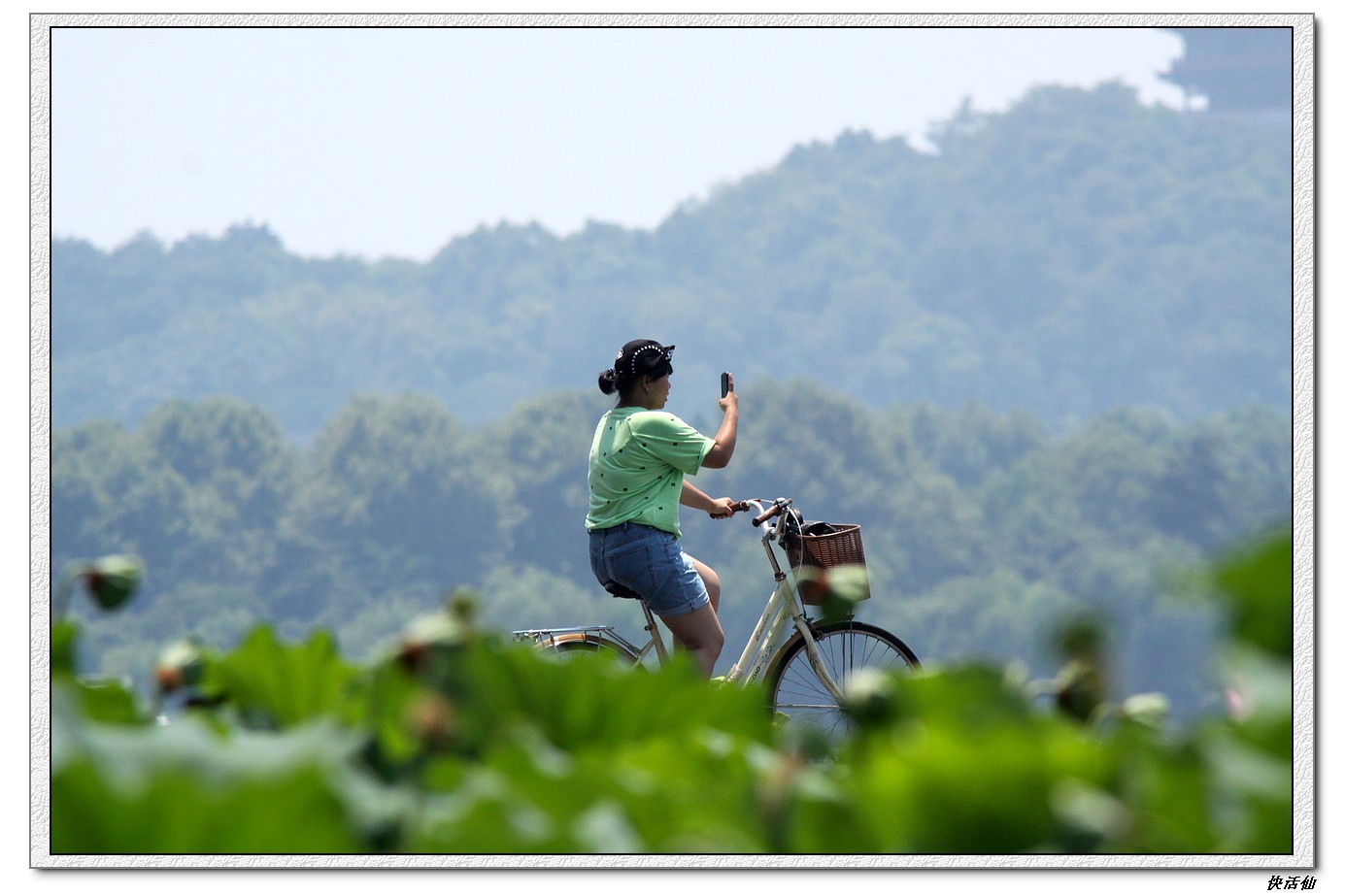 路过断桥荷塘的人们