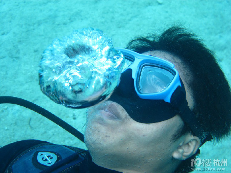 菲律賓潛水之旅