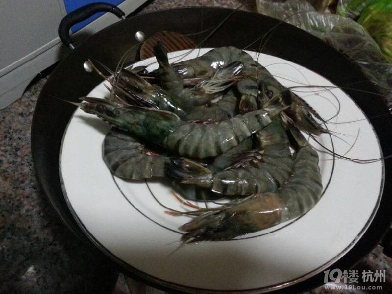 菲律賓潛水之旅
