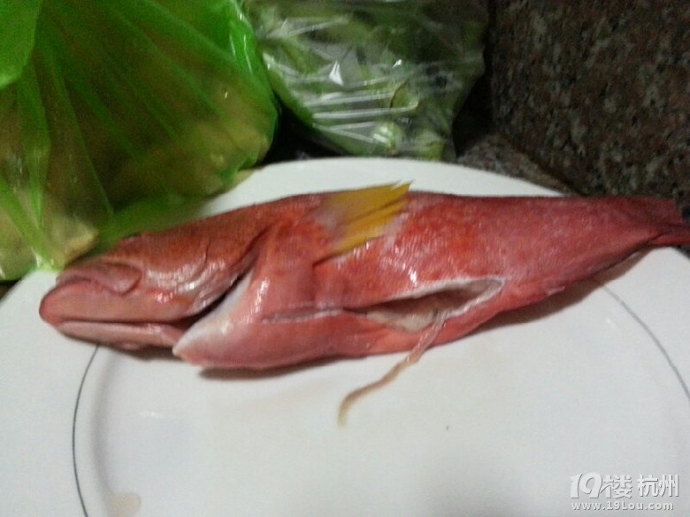 菲律賓潛水之旅