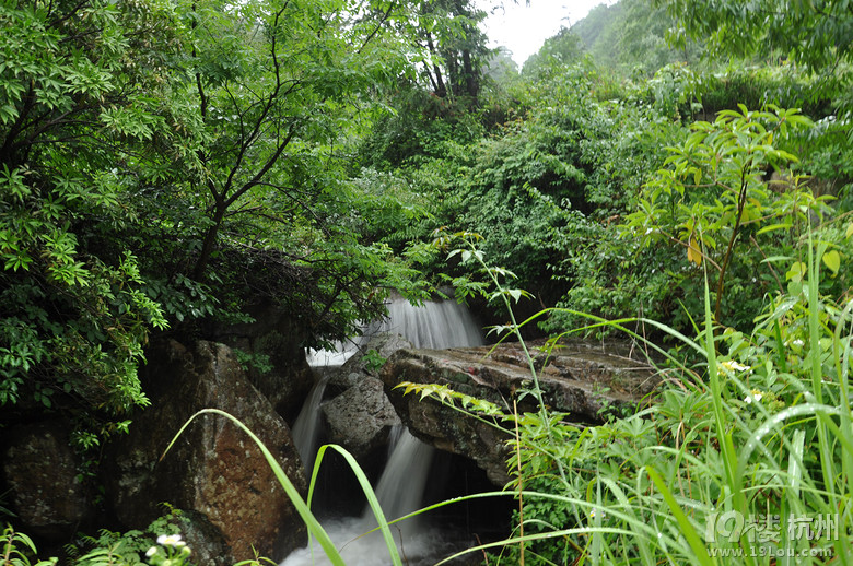 远离城市喧嚣，体验农家风情---就住小桥流水农家		