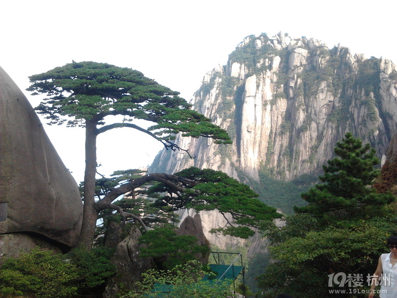 8月份的黃山旅游