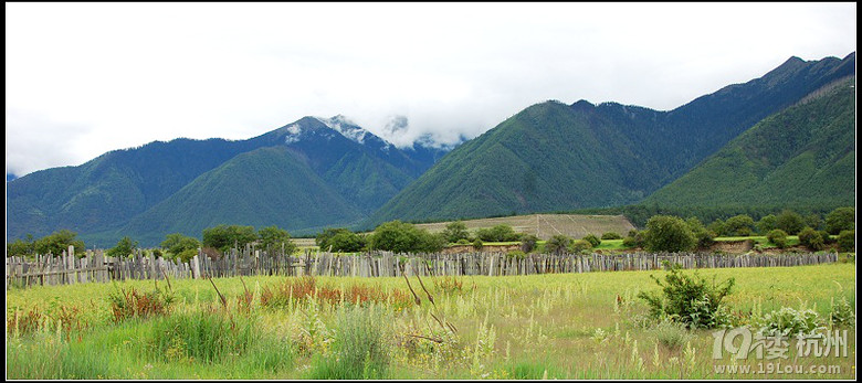 DDDDDD 7月,西藏 DDDDDDD