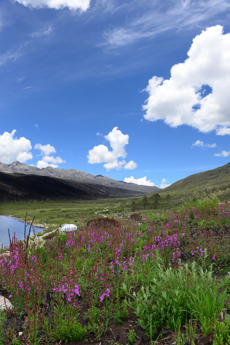 跑马溜溜的山上