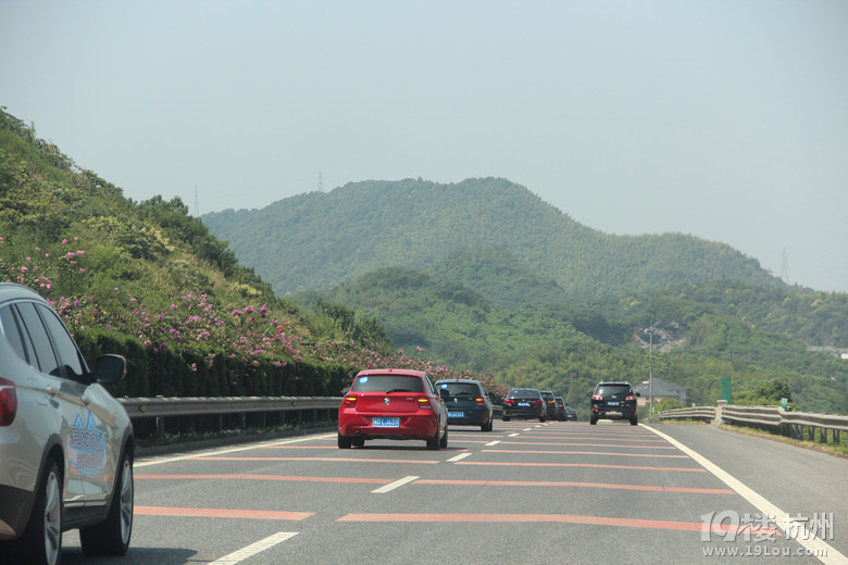 “探寻山水之间的惬意”——临安自驾游（招募中）