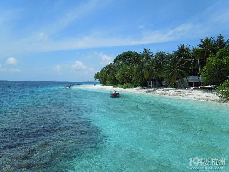 马尔代夫皇家岛 自拍婚纱照 海量美图