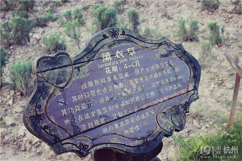 【舟山游】~~飛起來的節(jié)奏