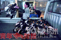 H7N9߽˹ί鷀(wn)