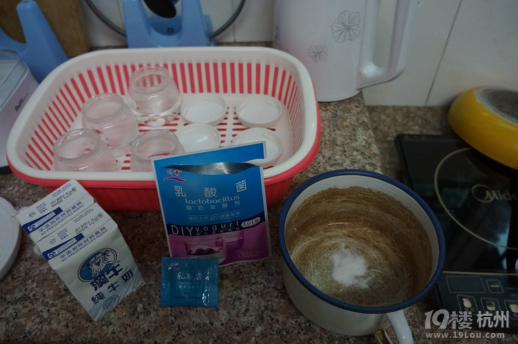 我的酸奶DIY