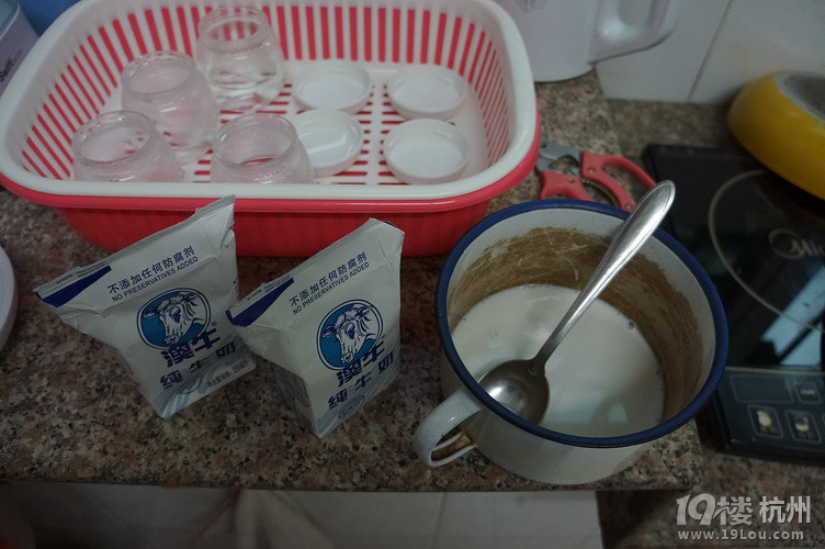 我的酸奶DIY